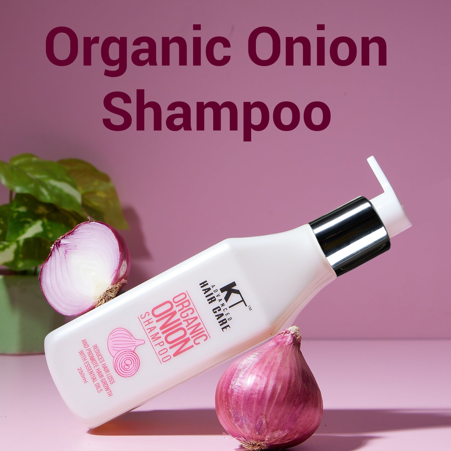 Organic Onion Shampoo | Infused with Essential Oils & Aloe Vera | Controls Hair Fall & Strengthens Hair | Sulfate-Free, Paraben-Free | 250ml