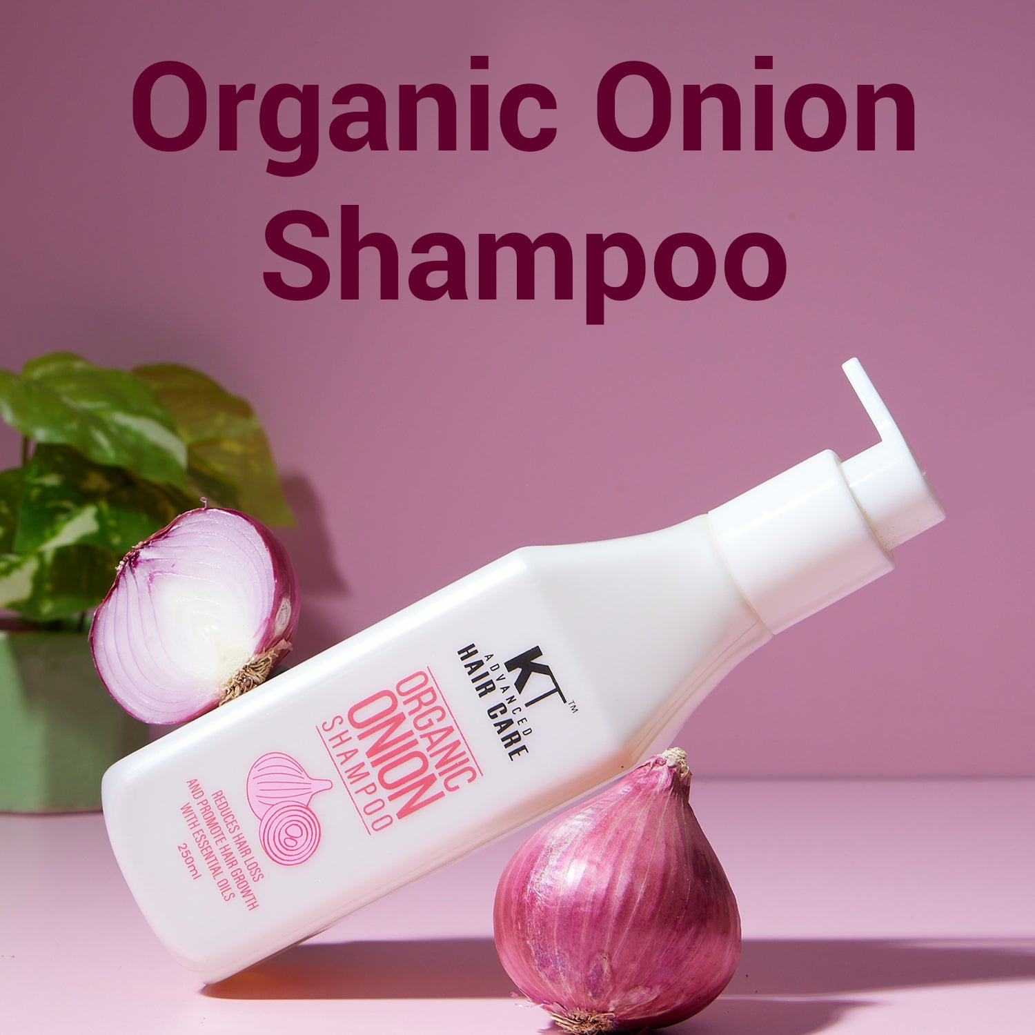 Organic Onion Shampoo | Infused with Essential Oils &amp; Aloe Vera | Controls Hair Fall &amp; Strengthens Hair | Sulfate-Free, Paraben-Free | 250ml